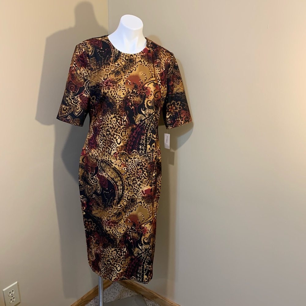 Jones Studio XL Dress P8